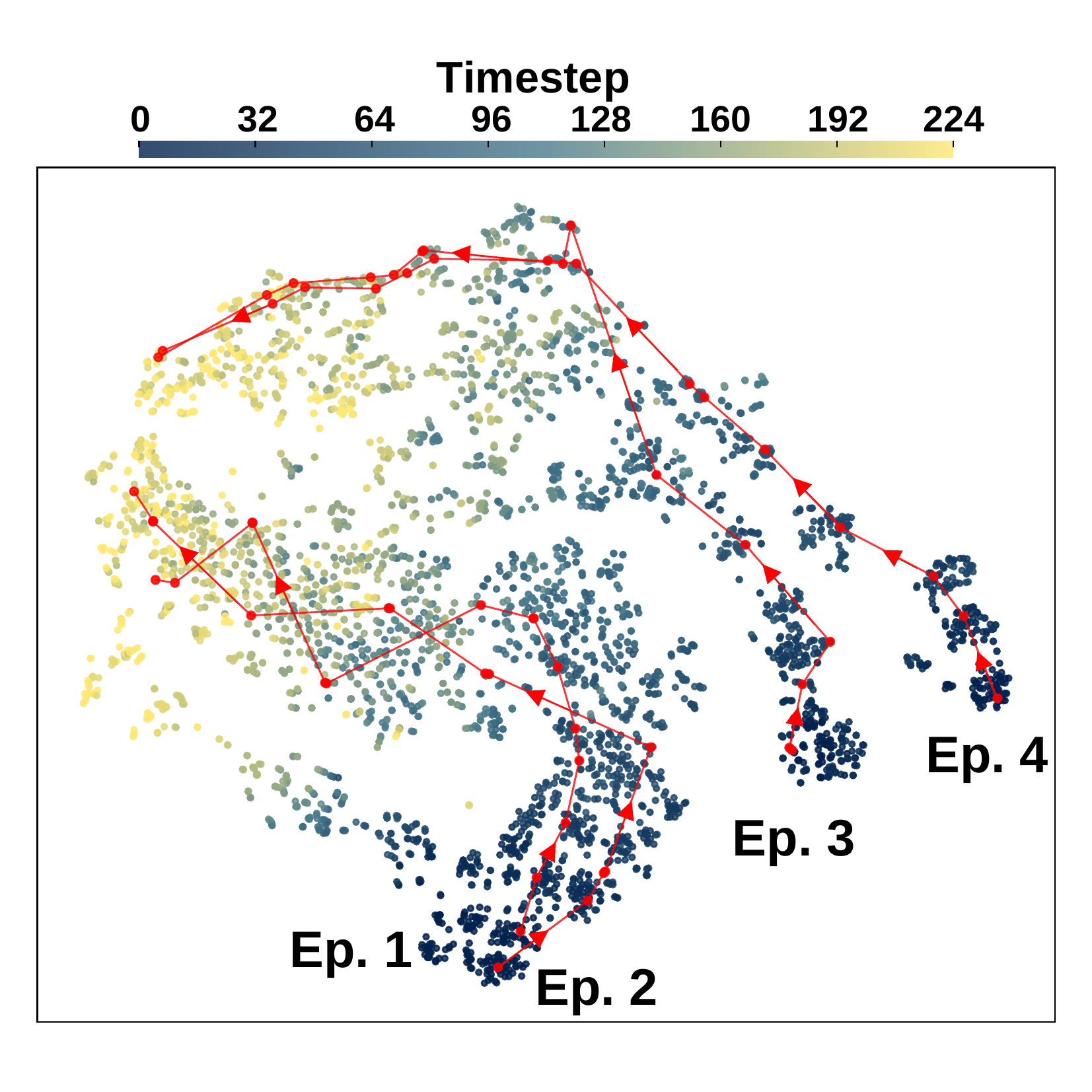 RS-CL aligned representations